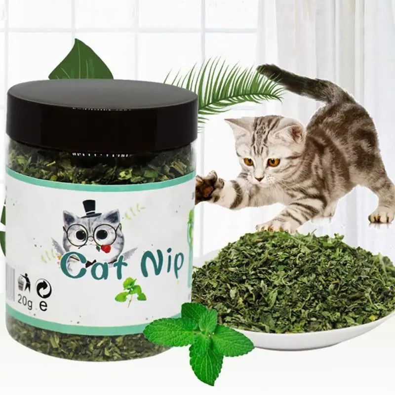 367A Premium for Cat Dental Clean Treats Catnip Treats for Cat Mints Treats Natural Mint Leaves for Pet Kitten 10g/20g/30g