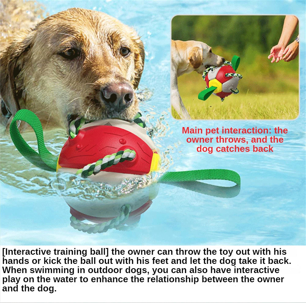 Outdoor Training Interactive Frisbee Football Dog Toy with String, Foldable Ball Molar Toy, Puppy Chew Accessories