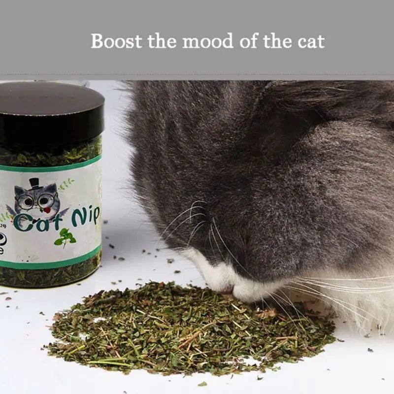 367A Premium for Cat Dental Clean Treats Catnip Treats for Cat Mints Treats Natural Mint Leaves for Pet Kitten 10g/20g/30g