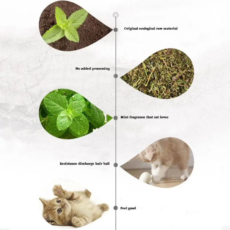 367A Premium for Cat Dental Clean Treats Catnip Treats for Cat Mints Treats Natural Mint Leaves for Pet Kitten 10g/20g/30g