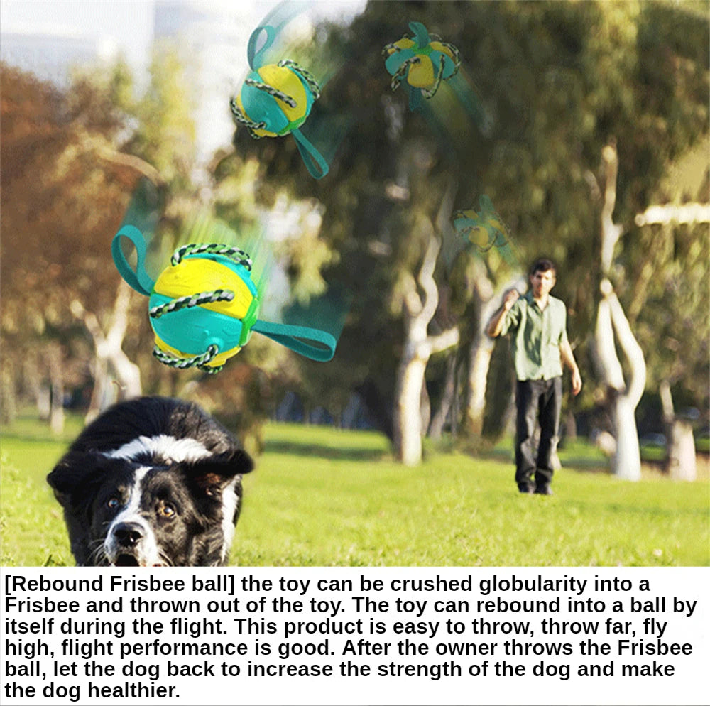 Outdoor Training Interactive Frisbee Football Dog Toy with String, Foldable Ball Molar Toy, Puppy Chew Accessories