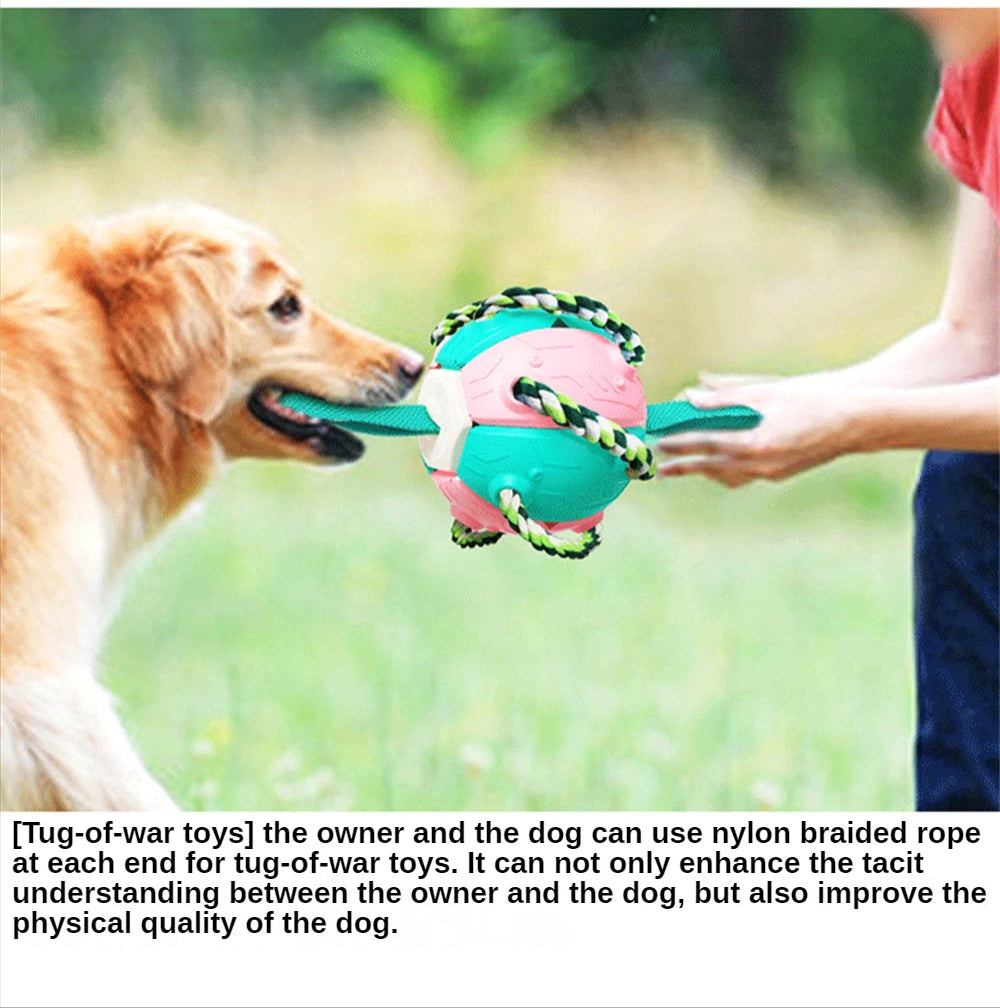 Outdoor Training Interactive Frisbee Football Dog Toy with String, Foldable Ball Molar Toy, Puppy Chew Accessories